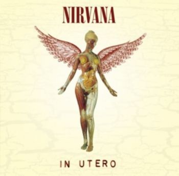 LP Nirvana / Live At Reading - Ortons AudioVisual